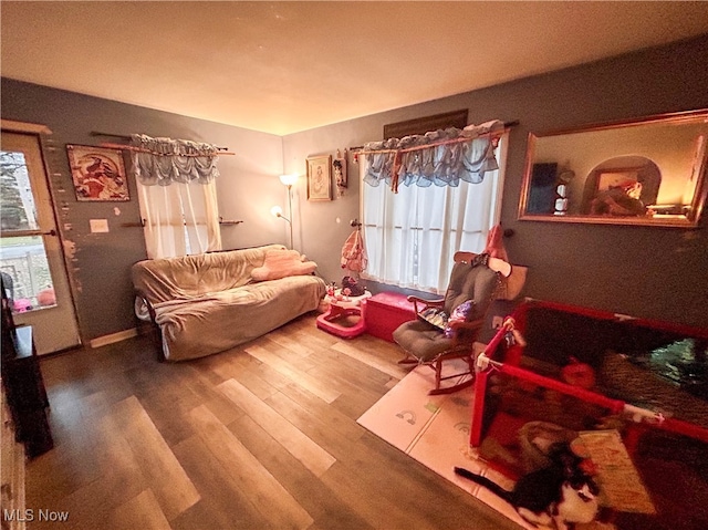 living room featuring hardwood / wood-style flooring and a healthy amount of sunlight