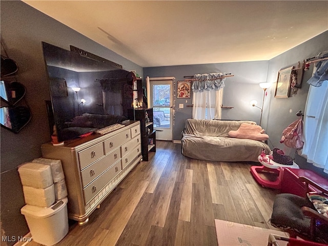 living room featuring wood-type flooring