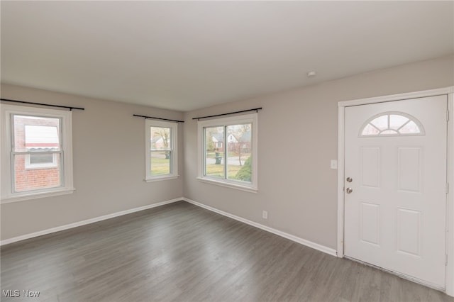 entrance foyer featuring a wealth of natural light and dark hardwood / wood-style floors