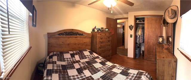 bedroom featuring multiple windows, wood-type flooring, ceiling fan, and a closet