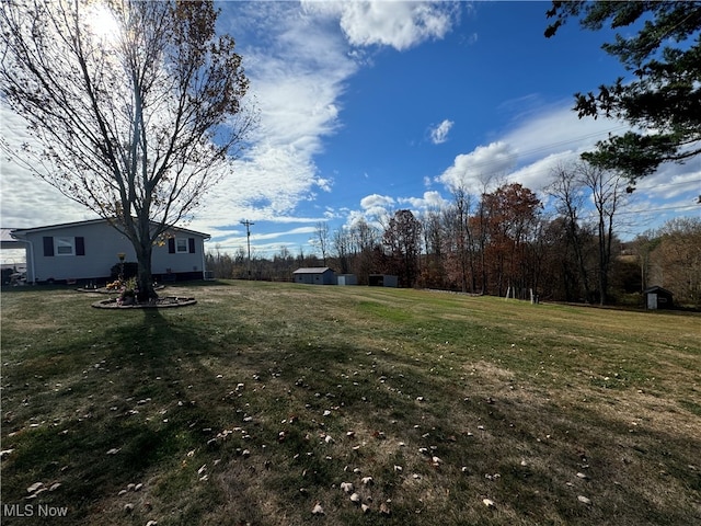 view of yard with a shed