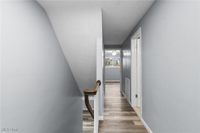 hall featuring dark wood-type flooring