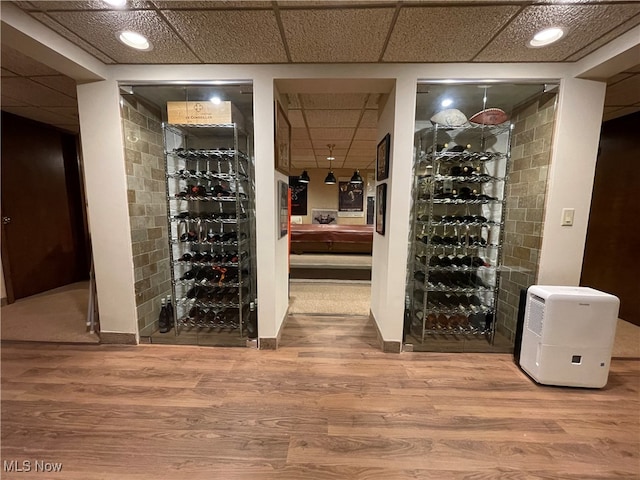 wine cellar featuring a drop ceiling and hardwood / wood-style floors