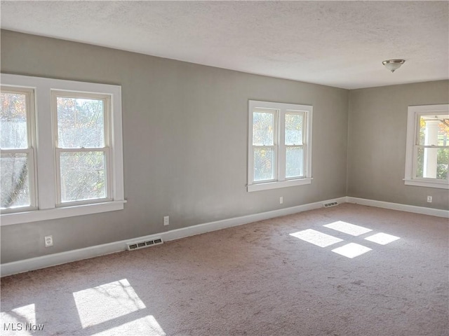 empty room featuring light carpet and a textured ceiling