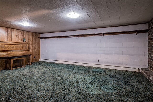 basement featuring a baseboard heating unit, carpet, a fireplace, and wood walls