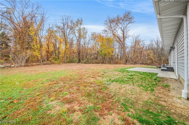 view of yard featuring a patio