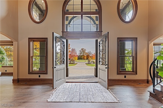 foyer with hardwood / wood-style floors, a high ceiling, and plenty of natural light