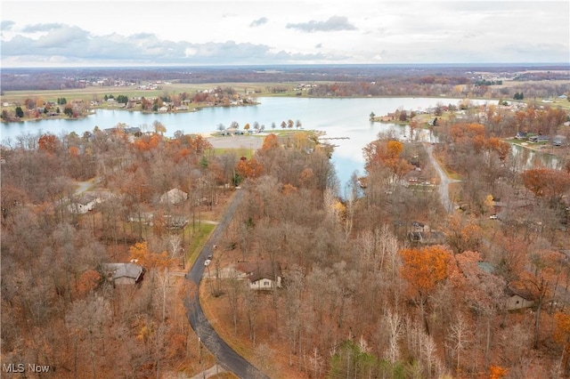 1284 Laurel Dr, West Salem, OH 44287 - aerial view of property's location featuring a large body of water