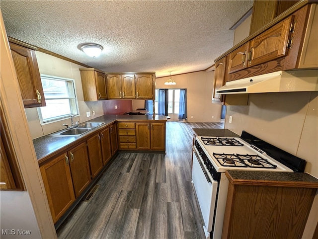 kitchen featuring white range with gas cooktop, kitchen peninsula, a wealth of natural light, and dark hardwood / wood-style floors