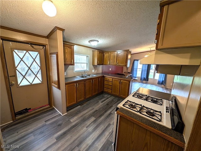 kitchen with kitchen peninsula, sink, dark hardwood / wood-style floors, and a textured ceiling