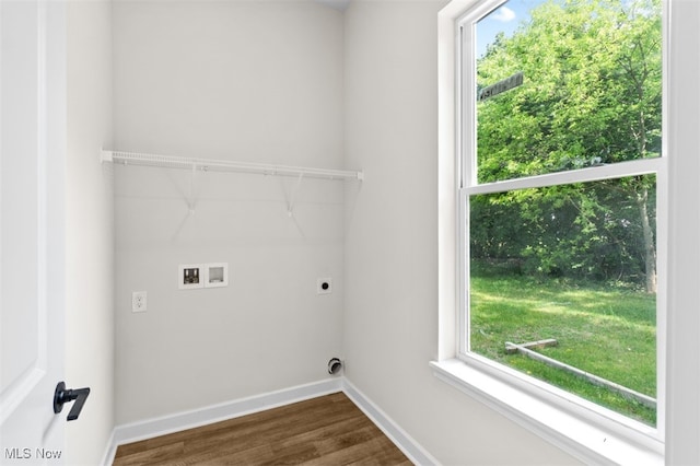 clothes washing area with hookup for an electric dryer, washer hookup, and dark hardwood / wood-style floors