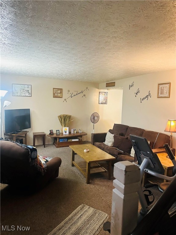 carpeted living room with a textured ceiling