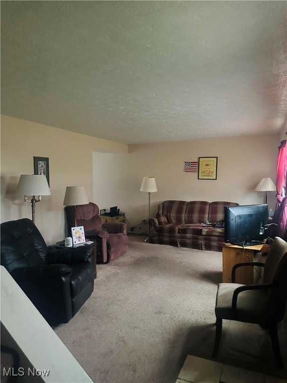 living room with a textured ceiling and carpet