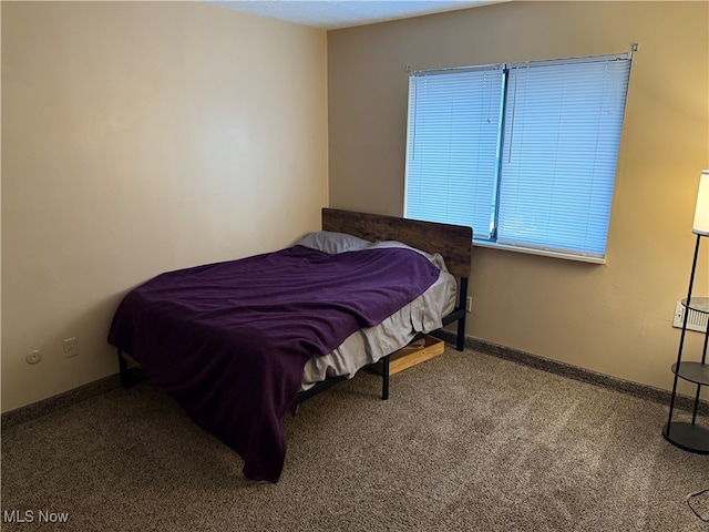 bedroom with carpet floors