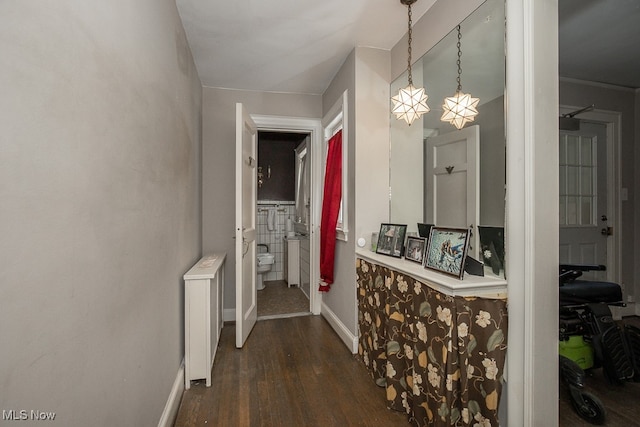 hall with radiator and dark hardwood / wood-style floors