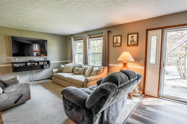 living room featuring a textured ceiling and hardwood / wood-style flooring