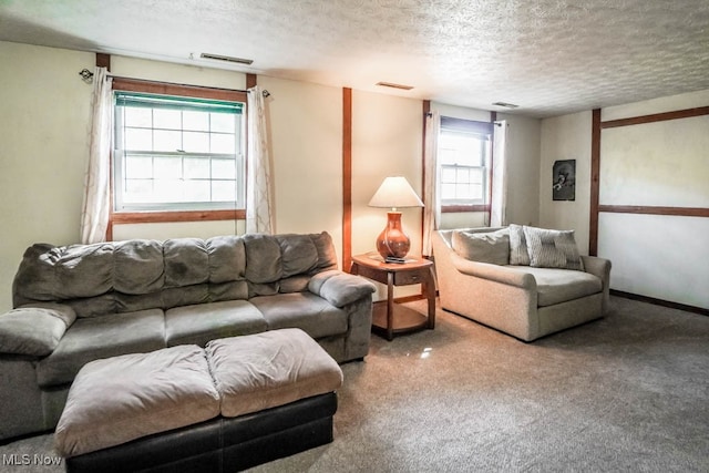 carpeted living room with a textured ceiling