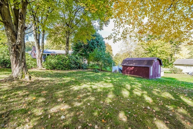 view of yard featuring a storage shed