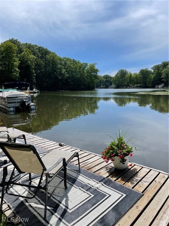 view of dock featuring a water view