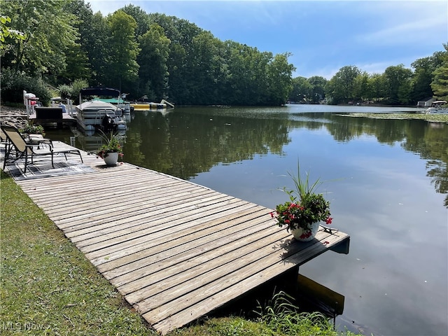 dock area featuring a water view