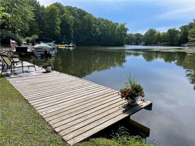 2335 Morning Star Dr, Roaming Shores, OH 44084 - photo 18