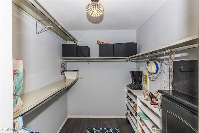 spacious closet with dark hardwood / wood-style floors