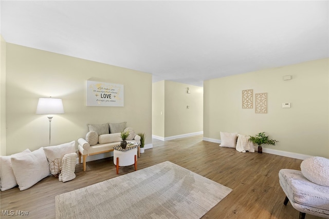 living room featuring light hardwood / wood-style floors