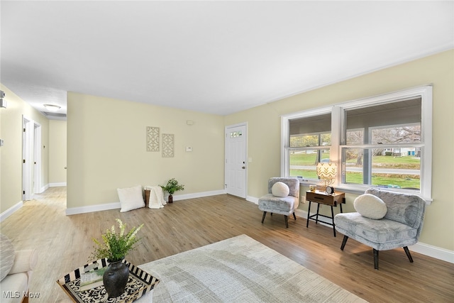 sitting room featuring light wood-type flooring