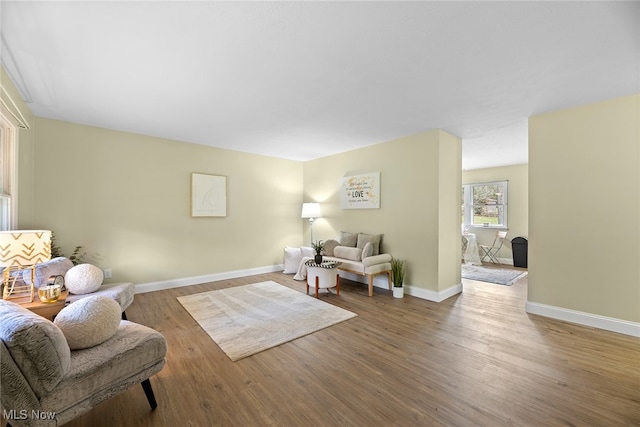 living room featuring hardwood / wood-style floors