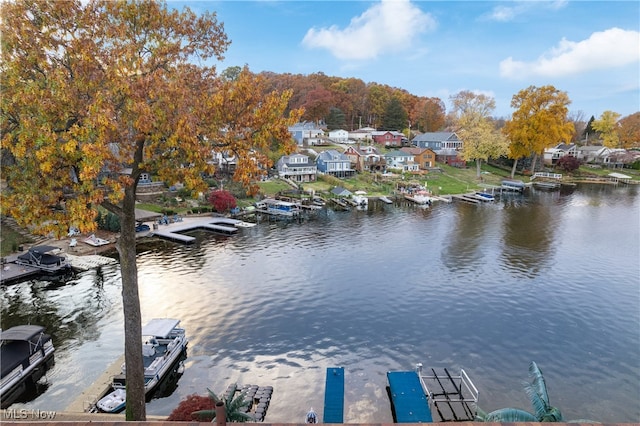 dock area with a water view