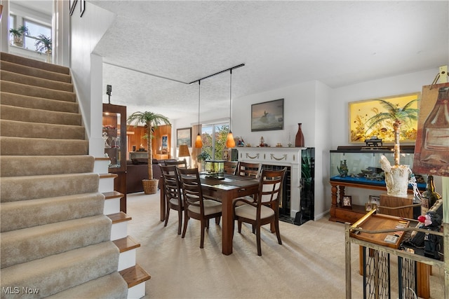 carpeted dining area with a healthy amount of sunlight and a textured ceiling