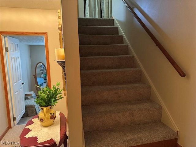 staircase featuring carpet floors