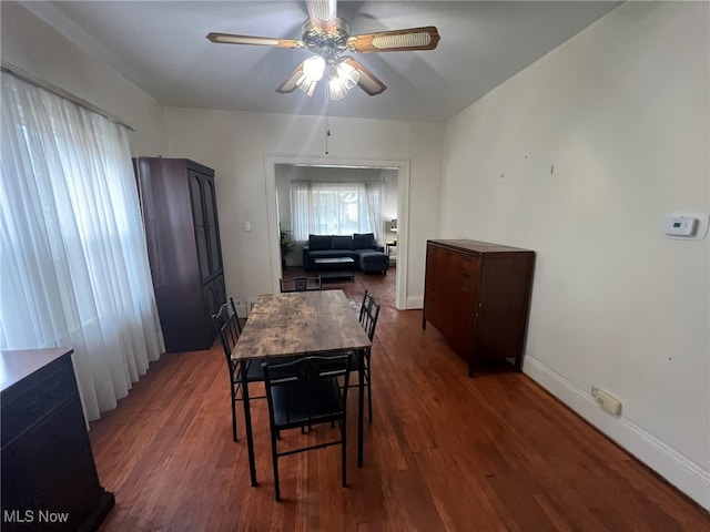 dining room with dark hardwood / wood-style flooring and ceiling fan