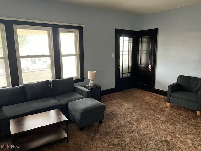 living room featuring dark colored carpet