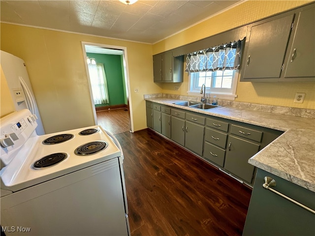 kitchen with white electric range oven, sink, ornamental molding, green cabinetry, and dark wood-type flooring