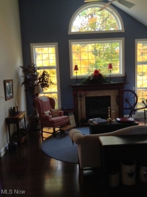 living room with plenty of natural light, wood-type flooring, ceiling fan, and lofted ceiling