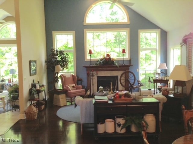 sitting room featuring high vaulted ceiling, hardwood / wood-style flooring, and ceiling fan