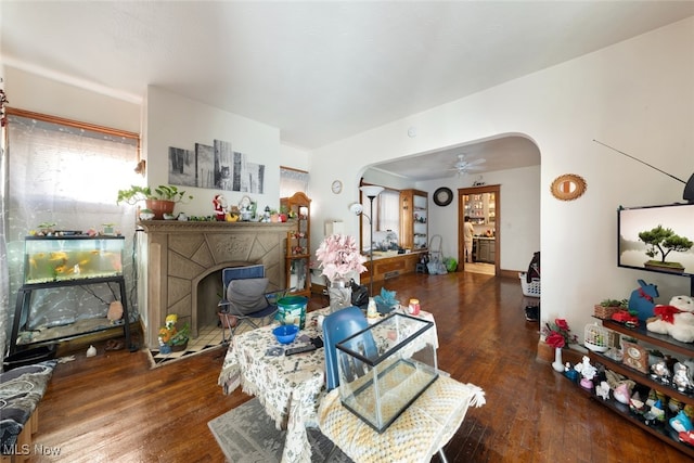 living room featuring ceiling fan and dark hardwood / wood-style floors