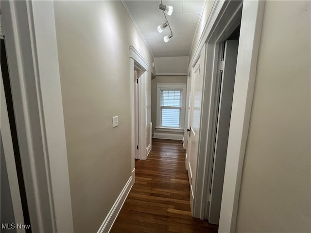 hall with dark hardwood / wood-style floors, rail lighting, and crown molding