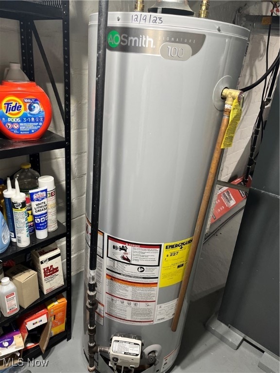 utility room with gas water heater