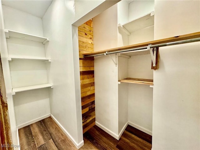 spacious closet with dark hardwood / wood-style flooring