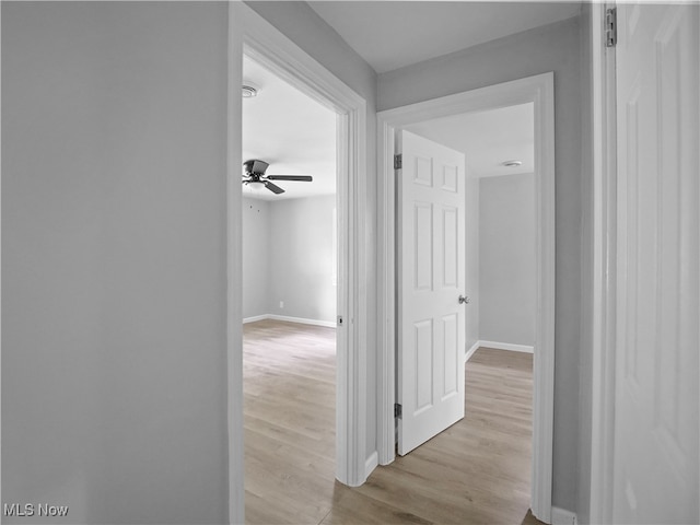 corridor featuring light hardwood / wood-style flooring