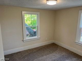 spare room featuring carpet floors and a textured ceiling