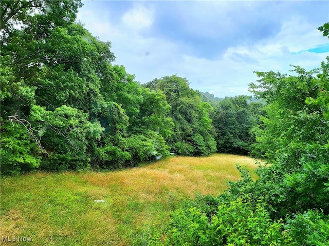 0 Mayle Ridge Rd, Cutler OH, 45724 land for sale