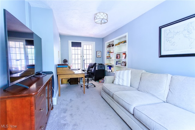 carpeted home office featuring a wealth of natural light