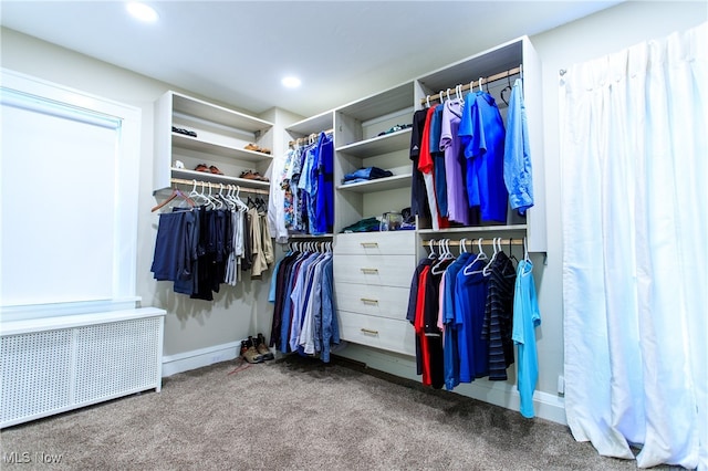 spacious closet featuring carpet floors and radiator