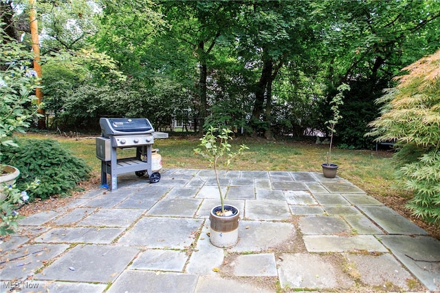 view of patio / terrace with area for grilling