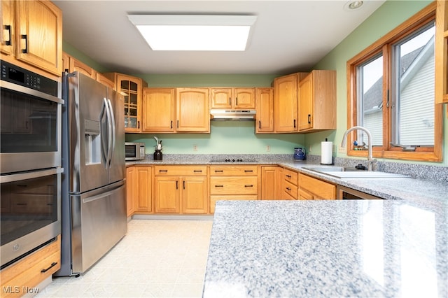 kitchen featuring stainless steel appliances, sink, and light stone countertops