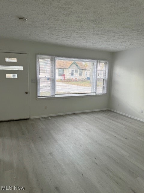 foyer featuring light wood-type flooring, a wealth of natural light, and a textured ceiling