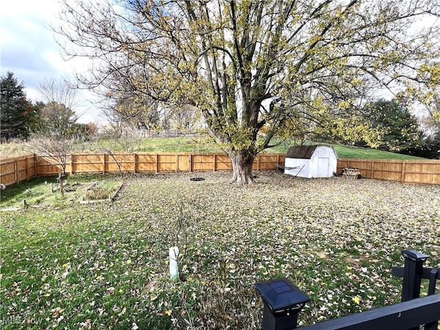 view of yard featuring a storage unit